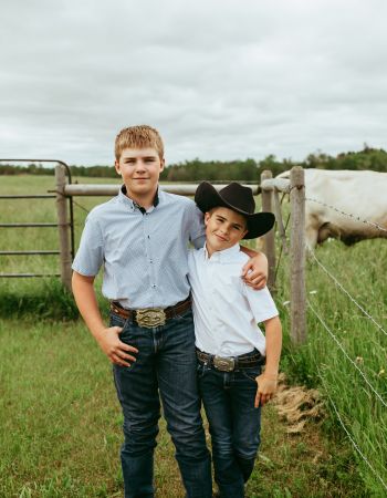 Beef Farming Beef Farming
