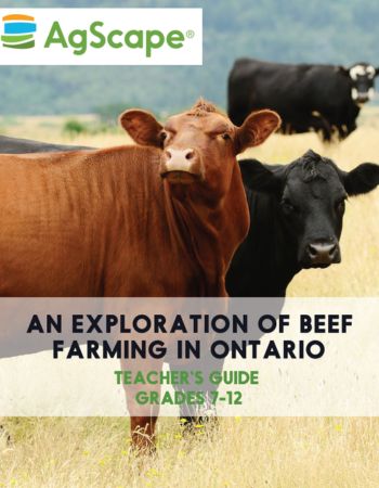 Beef Resource Beef Resource