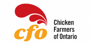 CFO